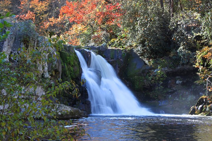 Cades Cove Sightseeing Self-Guided Driving Audio Tour - Photo 1 of 11